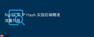 nginx 中 ip hash 实现后端精准流量引导