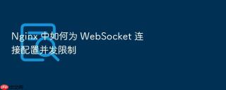 nginx 中如何为 websocket 连接配置并发限制