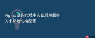 nginx 反向代理中实现后端服务的多环境切换配置
