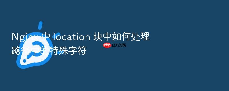nginx 中 location 块中如何处理路径中的特殊字符