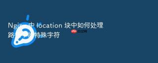 nginx 中 location 块中如何处理路径中的特殊字符