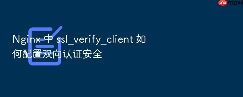 nginx 中 ssl_verify_client 如何配置双向认证安全