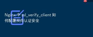 nginx 中 ssl_verify_client 如何配置双向认证安全
