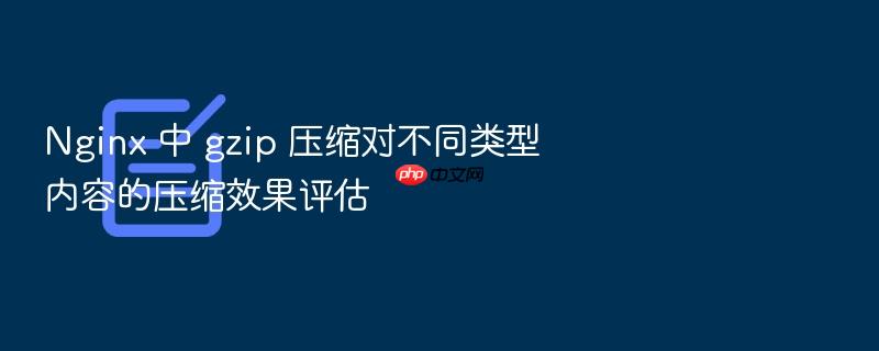 nginx 中 gzip 压缩对不同类型内容的压缩效果评估