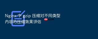 nginx 中 gzip 压缩对不同类型内容的压缩效果评估