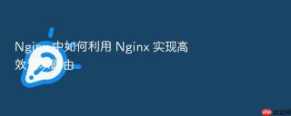 nginx 中如何利用 nginx 实现高效请求路由
