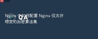 nginx 中如何配置 nginx 仅允许特定的加密算法集