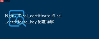 nginx 中 ssl_certificate 与 ssl_certificate_key 配置详解
