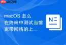 macOS 怎么在终端中测试当前宽带网络的上下行延迟与带宽