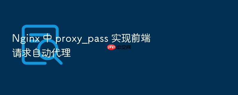 nginx 中 proxy_pass 实现前端请求自动代理
