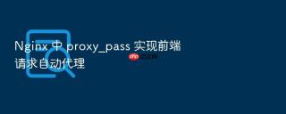 nginx 中 proxy_pass 实现前端请求自动代理