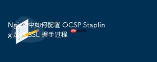 nginx 中如何配置 ocsp stapling 加速 ssl 握手过程