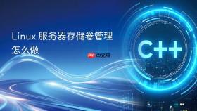 linux 服务器存储卷管理怎么做