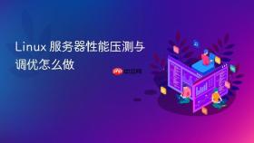 Linux 服务器性能压测与调优怎么做