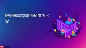 服务器动态路由配置怎么写