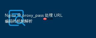 nginx 中 proxy_pass 处理 url 编码的机制解析