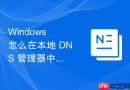 Windows 怎么在本地 DNS 管理器中处理正向查找区域图标显示为全面红叉的严重系统故障