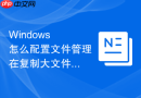 Windows 怎么配置文件管理在复制大文件时显示详细的每秒传输速度图表
