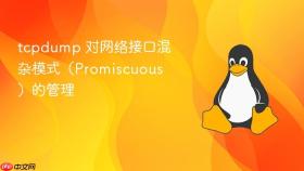tcpdump 对网络接口混杂模式(promiscuous)的管理