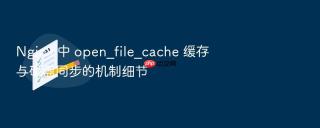 nginx 中 open_file_cache 缓存与磁盘同步的机制细节