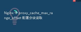 nginx 中 proxy_cache_max_range_offset 配置分块读取