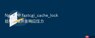 nginx 中 fastcgi_cache_lock 处理后端并发响应压力