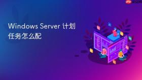 windows server 计划任务怎么配