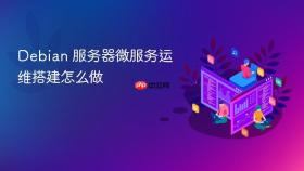 Debian 服务器微服务运维搭建怎么做