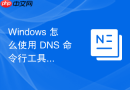 Windows 怎么使用 DNS 命令行工具快速添加自定义的 PTR 反向解析