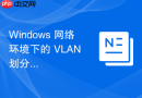 Windows 网络环境下的 VLAN 划分与接入配置