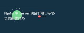 nginx 中 server 块监听端口与协议的配置技巧