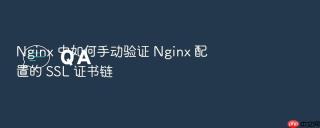 Nginx 中如何手动验证 Nginx 配置的 SSL 证书链