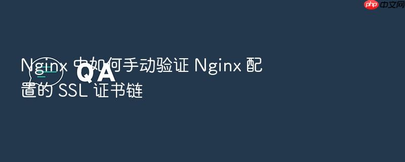 nginx 中如何手动验证 nginx 配置的 ssl 证书链