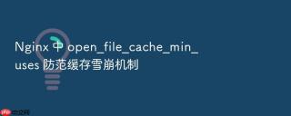 nginx 中 open_file_cache_min_uses 防范缓存雪崩机制
