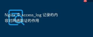 Nginx 中 access_log 记录的内容对网络取证的作用