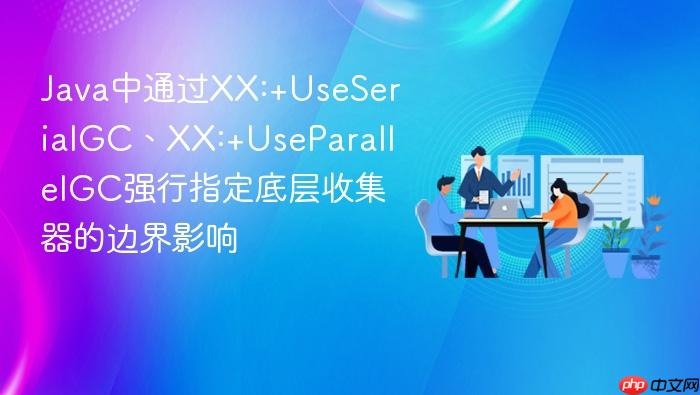 java中通过xx:+useserialgc、xx:+useparallelgc强行指定底层收集器的边界影响