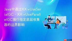 java中通过xx:+useserialgc、xx:+useparallelgc强行指定底层收集器的边界影响