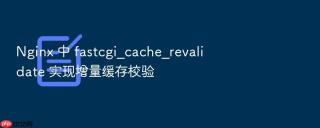 nginx 中 fastcgi_cache_revalidate 实现增量缓存校验