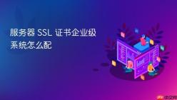 服务器 SSL 证书企业级系统怎么配