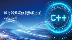 服务器漏洞修复微服务架构怎么配