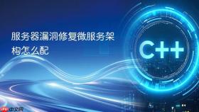 服务器漏洞修复微服务架构怎么配