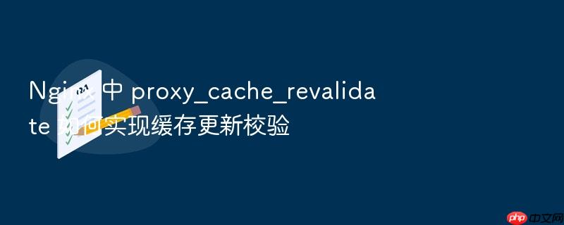 nginx 中 proxy_cache_revalidate 如何实现缓存更新校验
