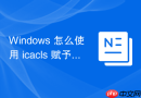 Windows 怎么使用 icacls 赋予 Web 服务账户静态目录权限
