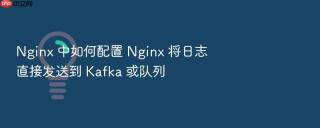 nginx 中如何配置 nginx 将日志直接发送到 kafka 或队列