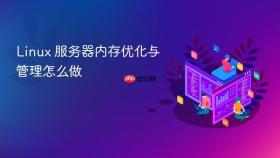 linux 服务器内存优化与管理怎么做