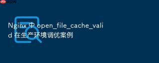 nginx 中 open_file_cache_valid 在生产环境调优案例