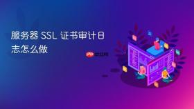 服务器 ssl 证书审计日志怎么做