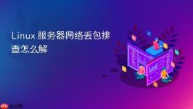 Linux 服务器网络丢包排查怎么解
