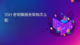 SSH 密钥微服务架构怎么配