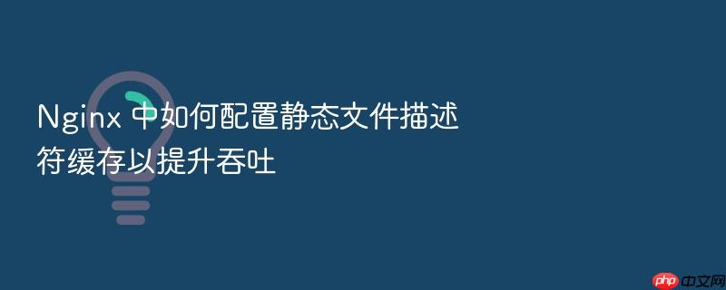 nginx 中如何配置静态文件描述符缓存以提升吞吐
